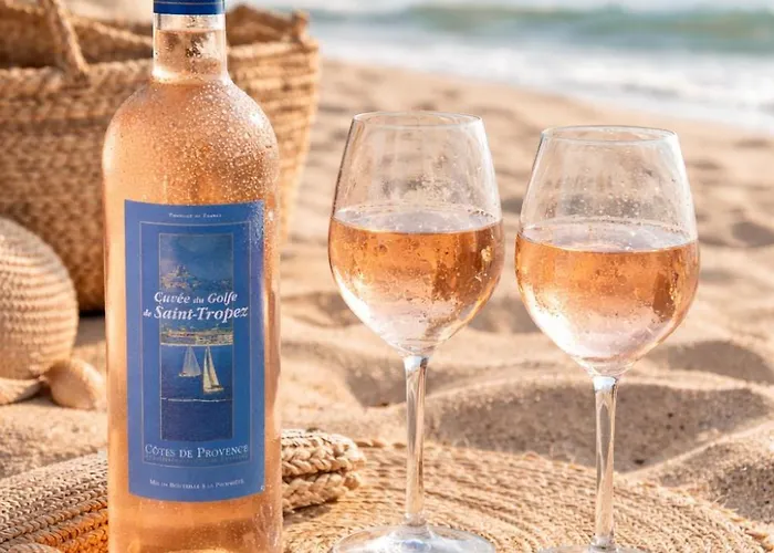 Nyaraló 20m2 Cosy Bord De - De La Nartelle- - Piscine Partagee - Parking - Bbq - Draps Inclus